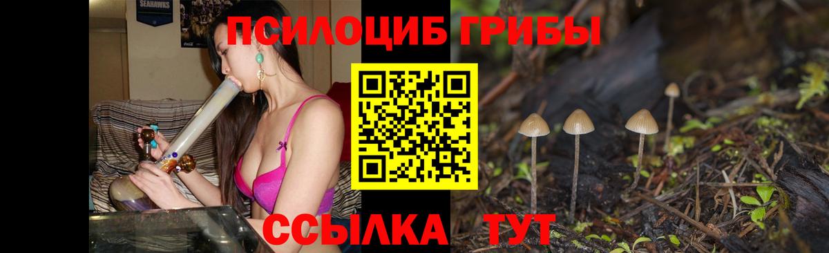 Галлюциногенные грибы мухоморы  Вход с VPN  Галлюциногенные грибы мухоморы  Кинешма 
